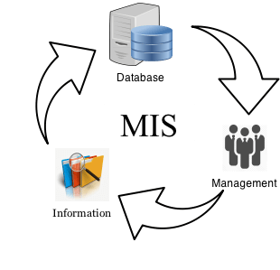 College Management Information System